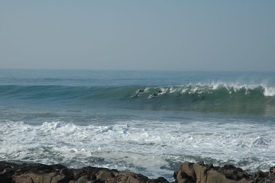 Commercial Property for Sale in Kaysers Beach Eastern Cape